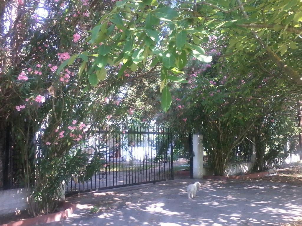 Garden Bungalow Valentina Stavros  Exterior photo